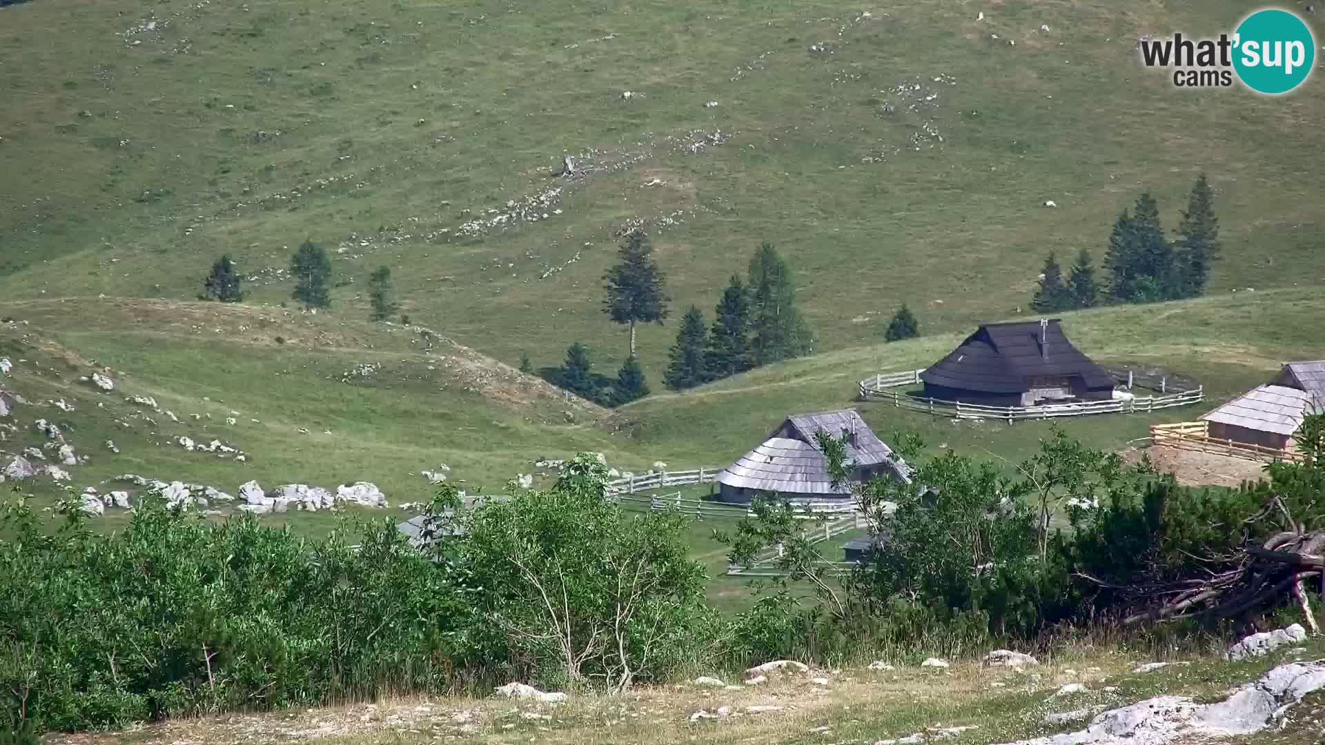Velika Planina | Gradišče