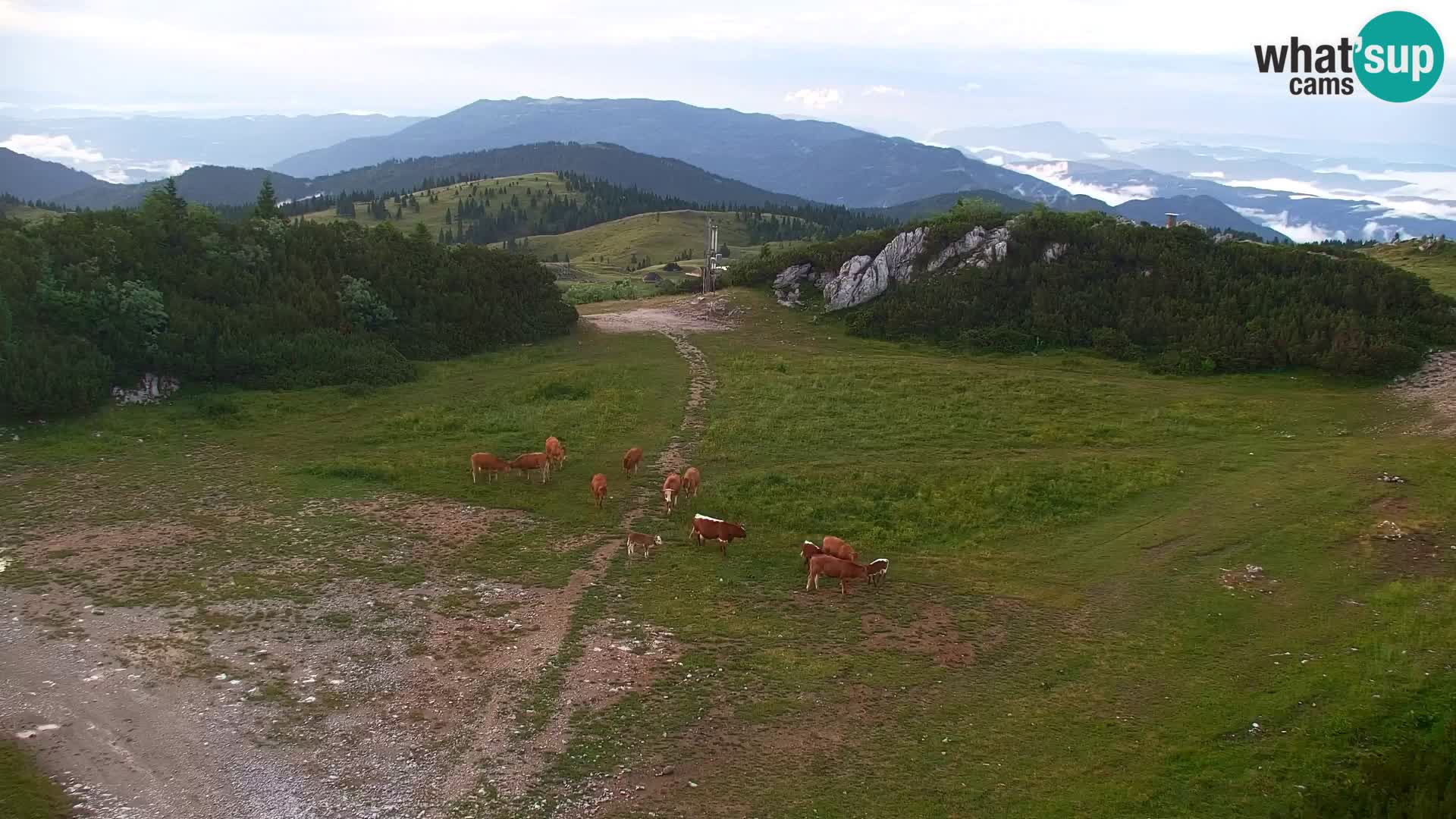 Velika Planina | Gradišče