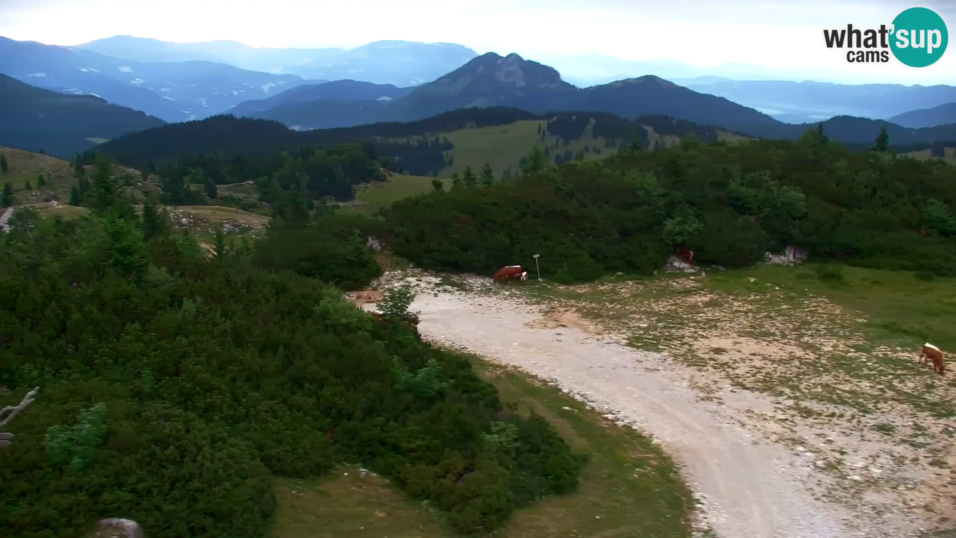 Velika Planina | Gradišče