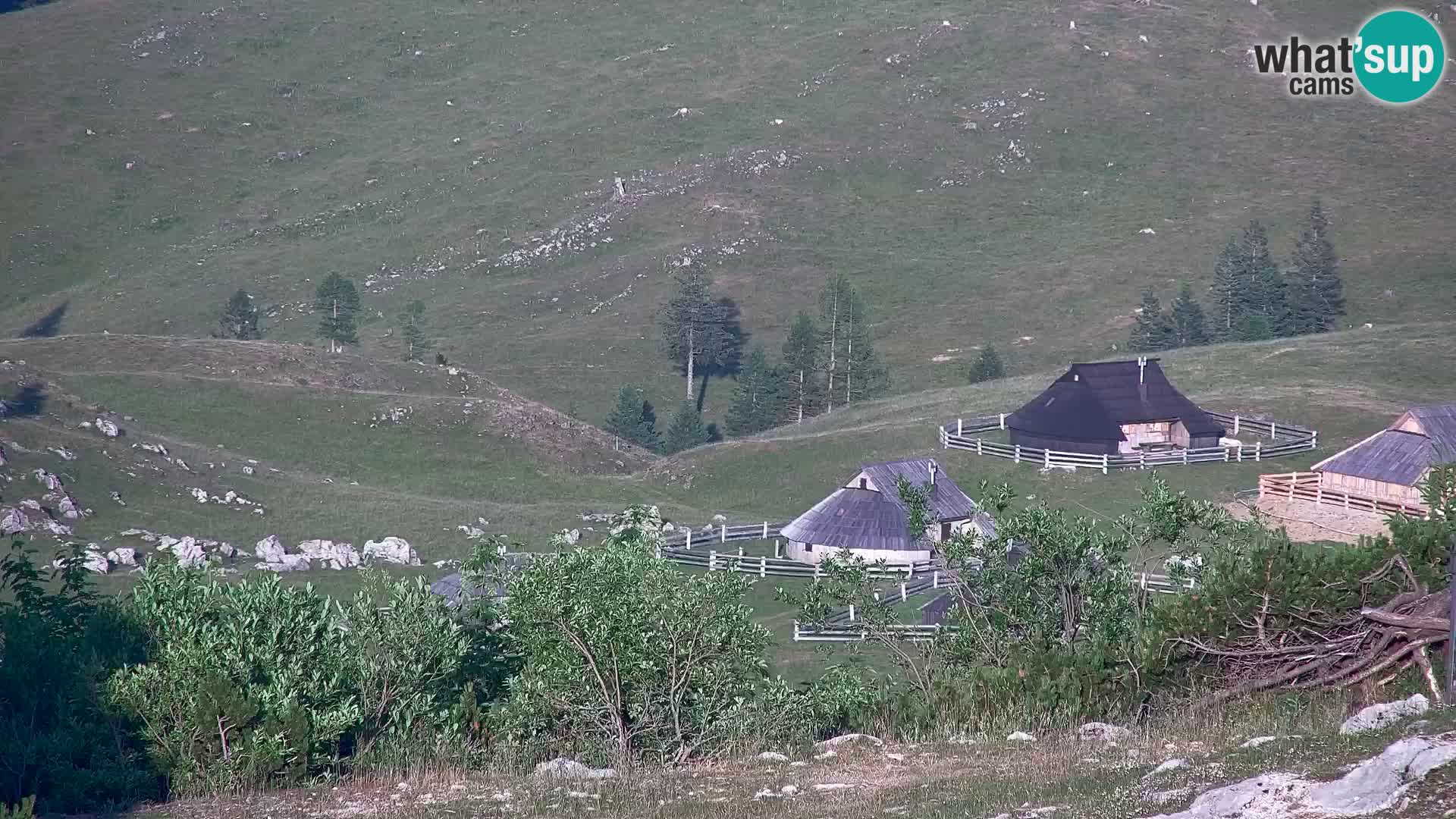 Velika Planina | Gradišče