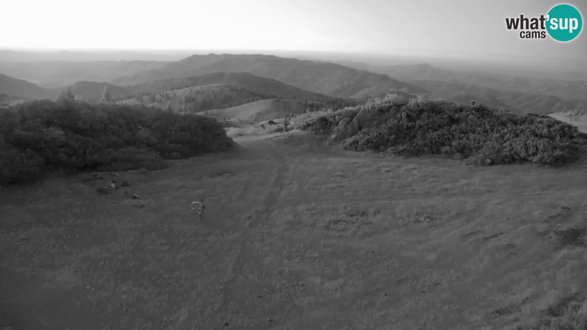 Velika Planina | Gradišče