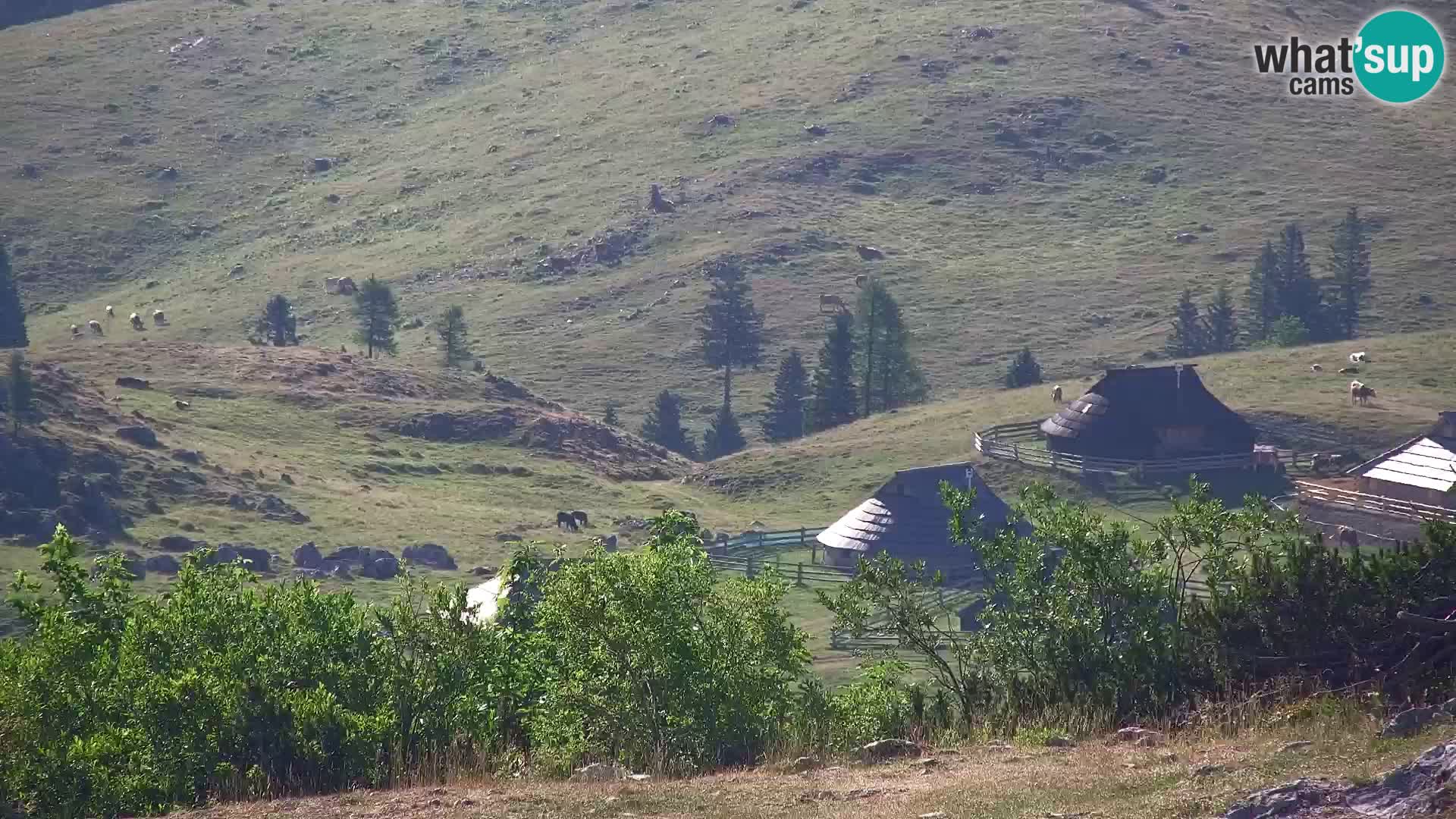 Velika Planina | Gradišče