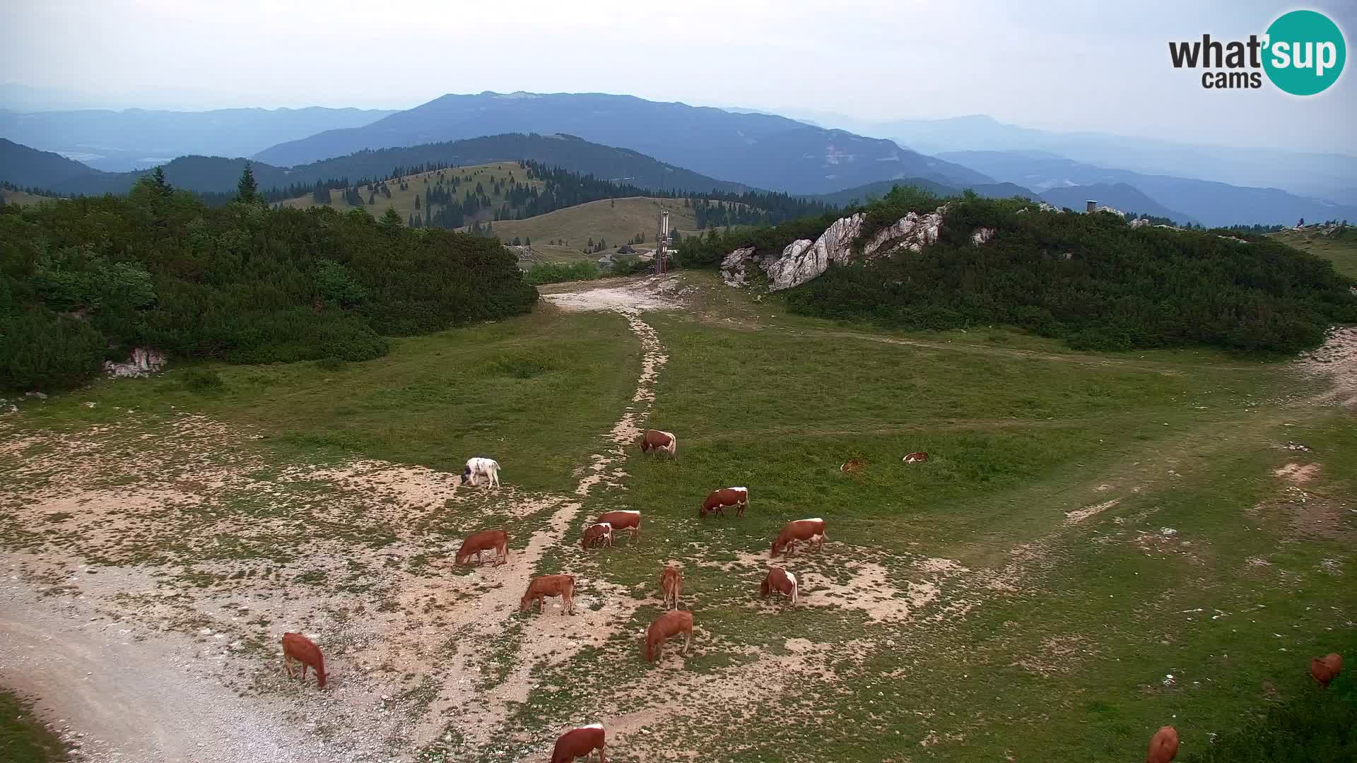 Velika Planina | Gradišče