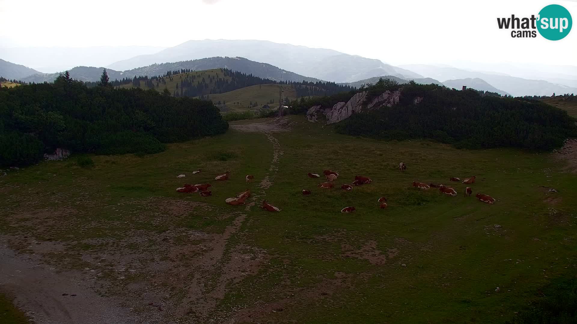 Velika Planina | Gradišče