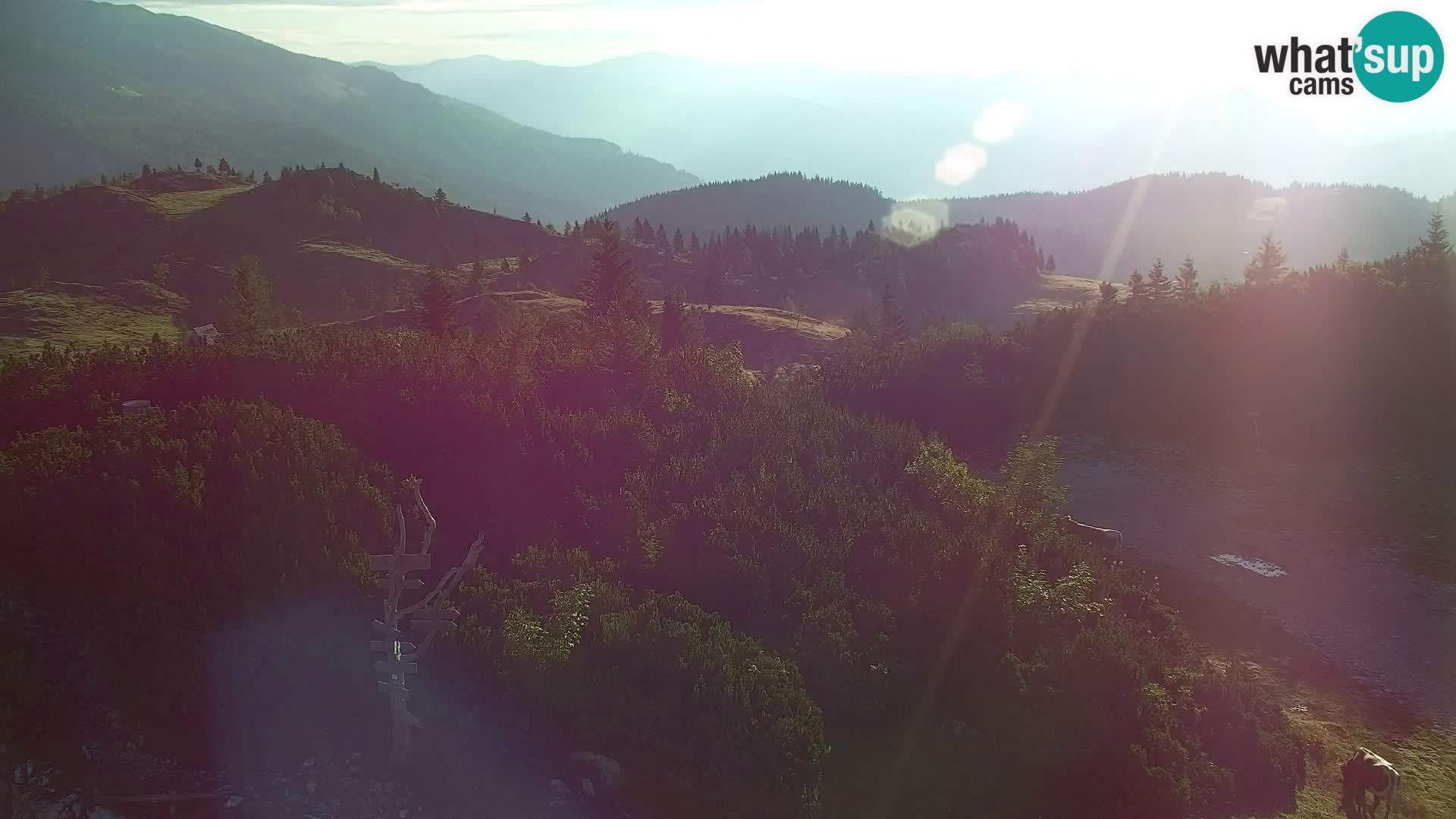 Velika Planina | Gradišče
