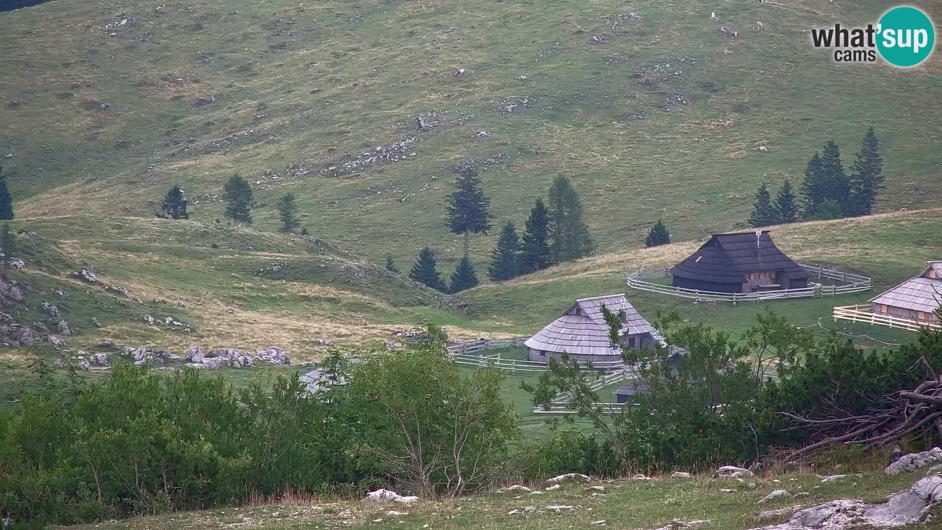 Velika Planina | Gradišče