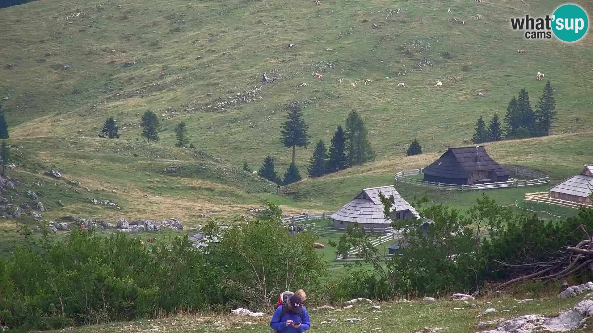 Velika Planina | Gradišče