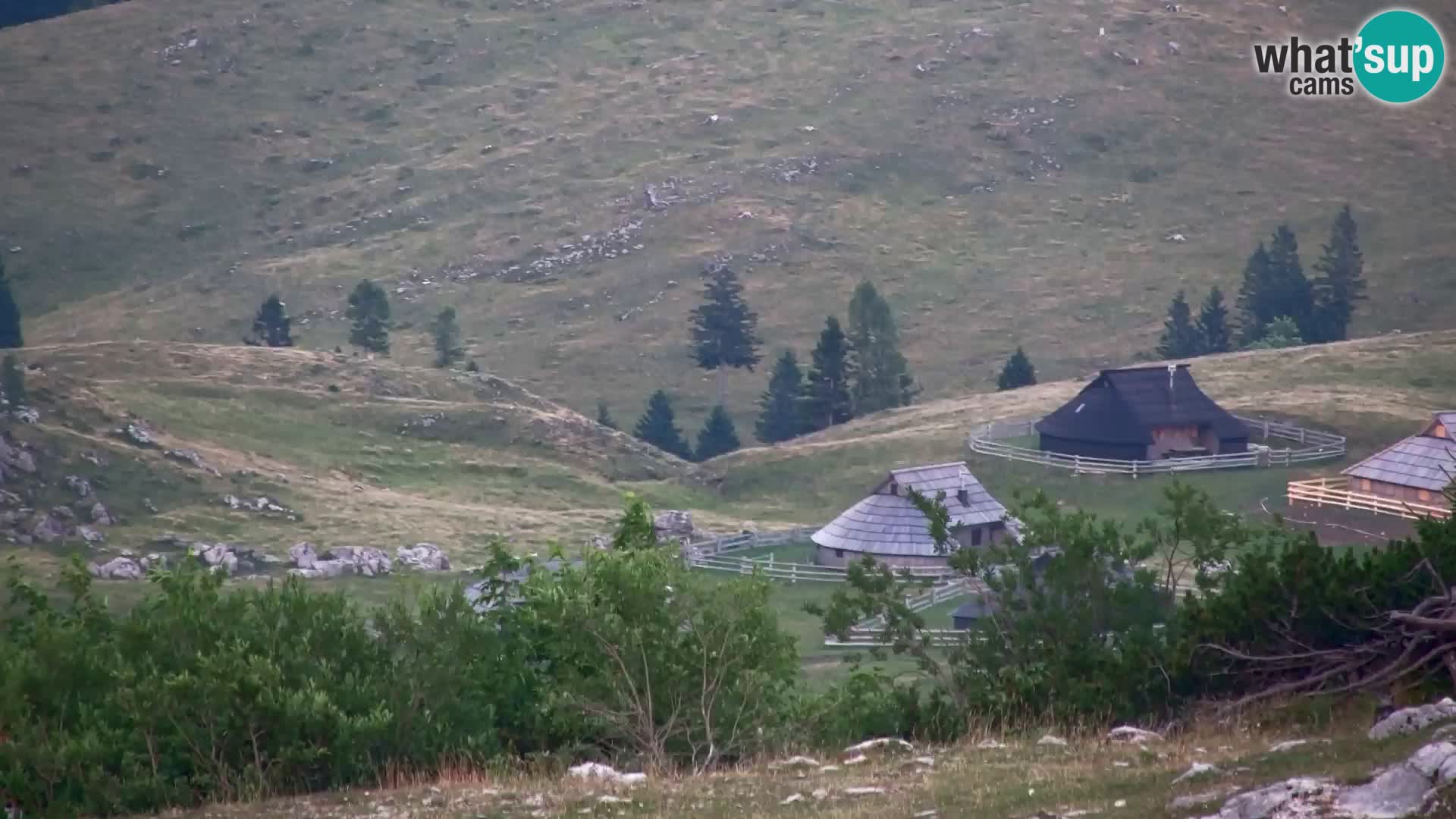 Velika Planina | Gradišče