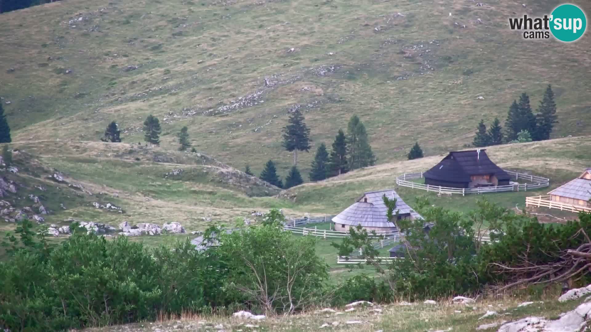 Velika Planina | Gradišče