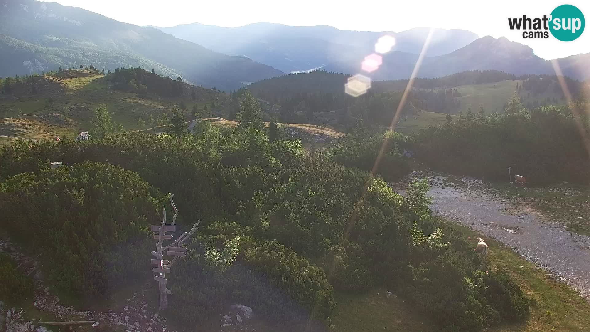 Velika Planina | Gradišče