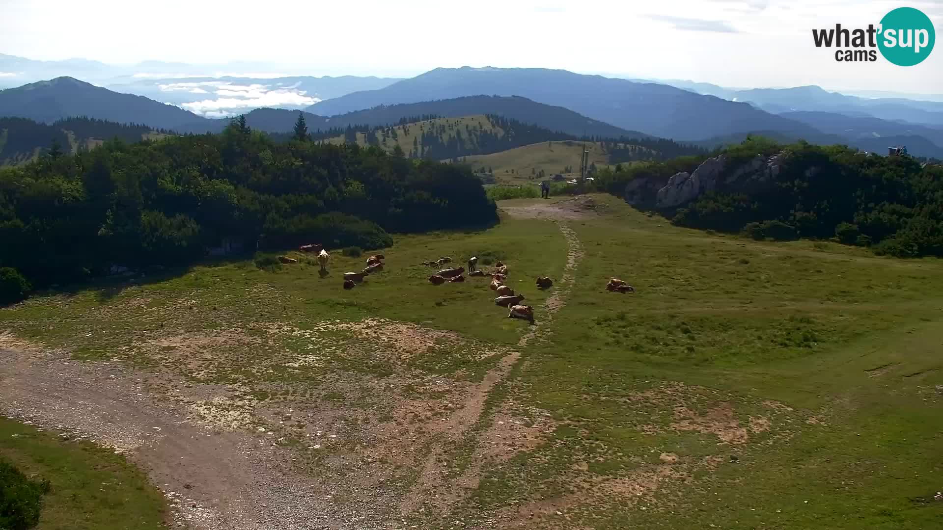 Velika Planina | Gradišče