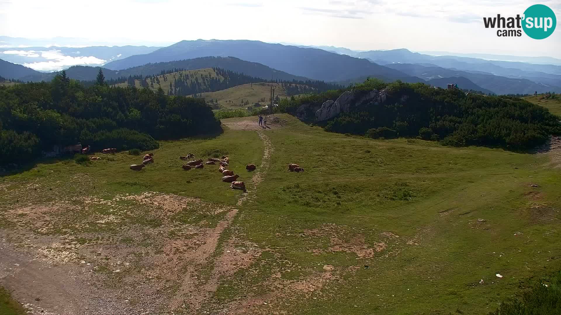 Velika Planina | Gradišče