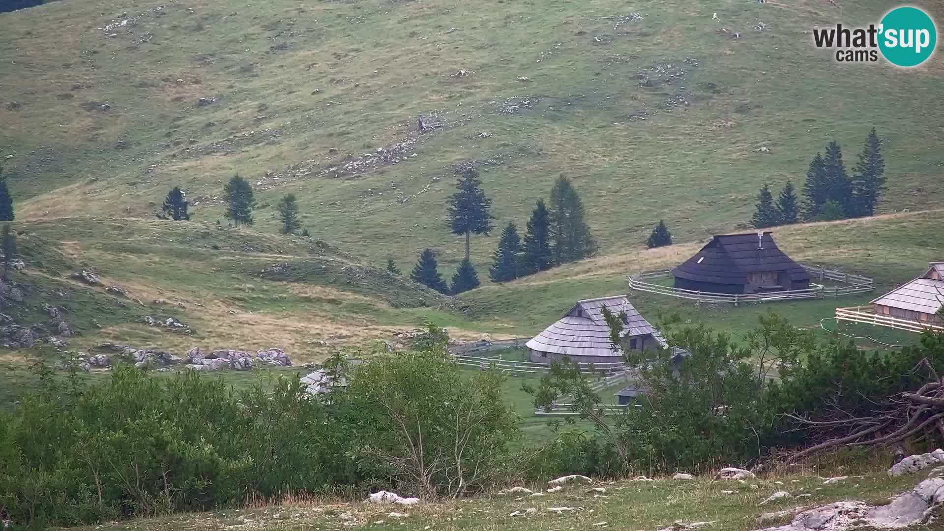 Velika Planina | Gradišče