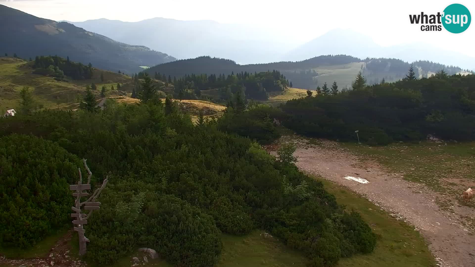 Velika Planina | Gradišče