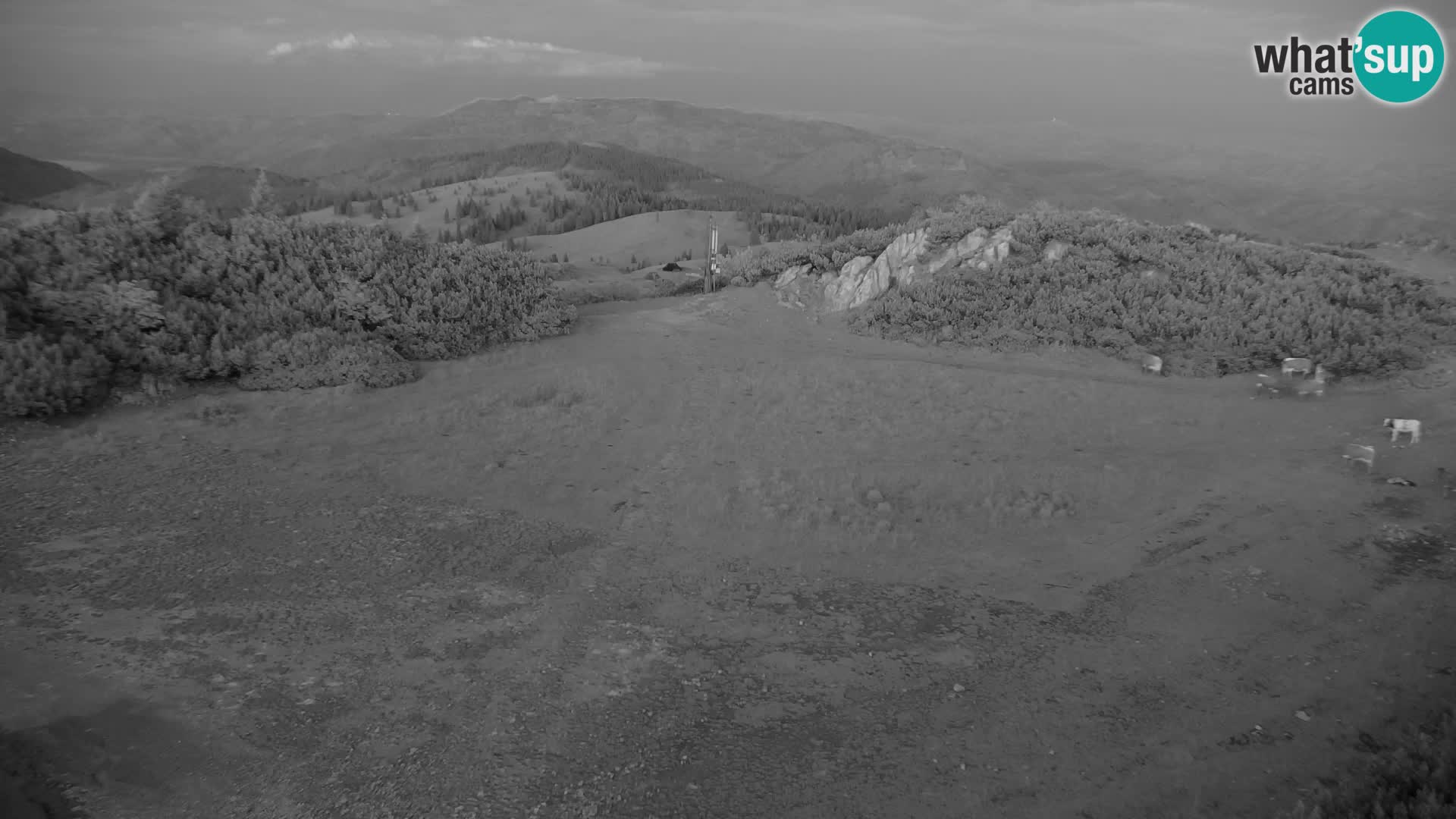 Velika Planina | Gradišče