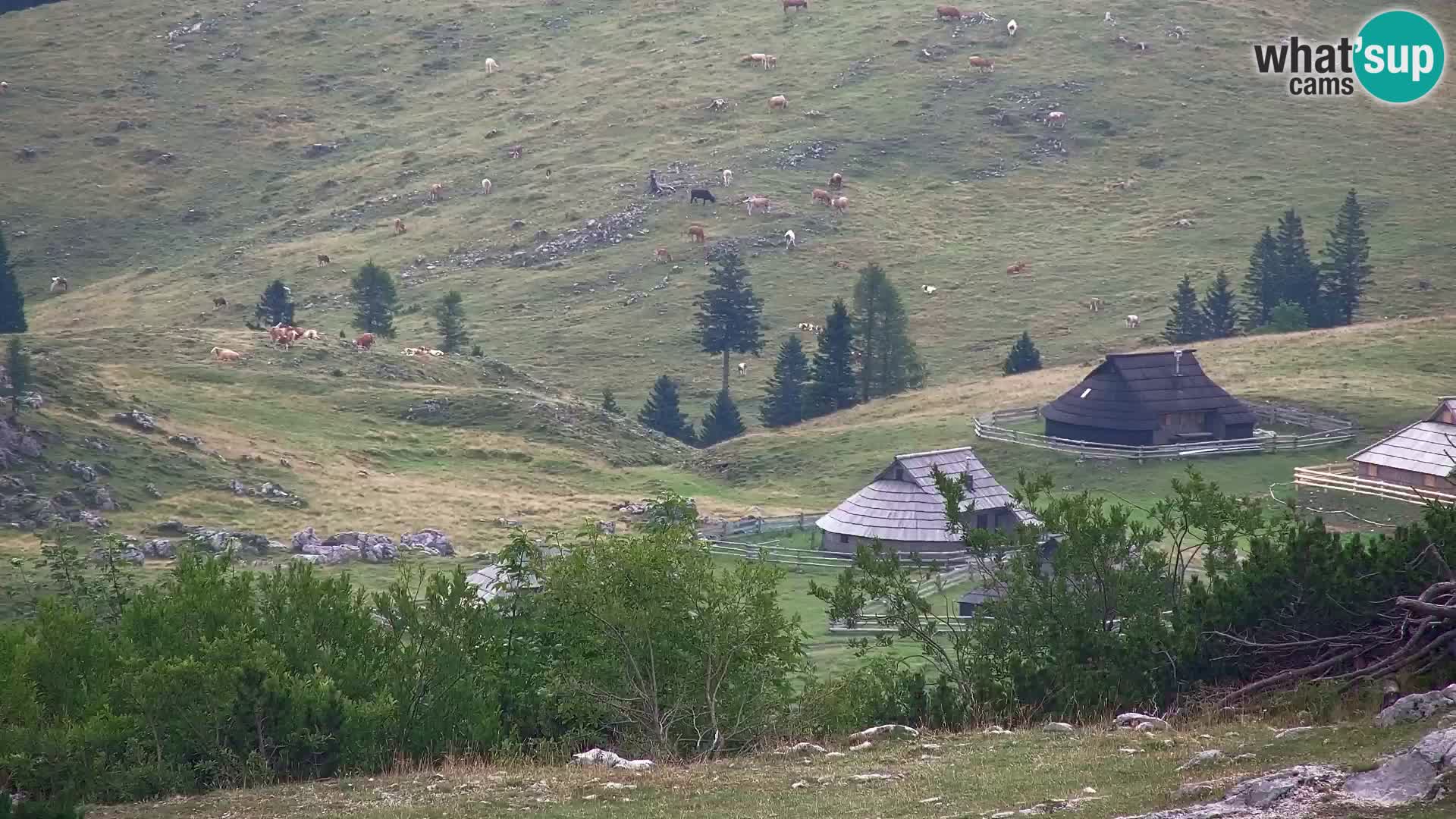 Velika Planina | Gradišče