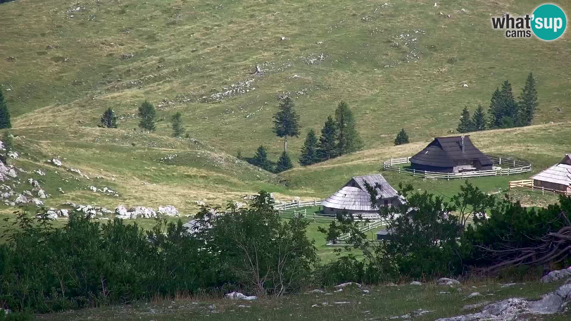 Velika Planina | Gradišče