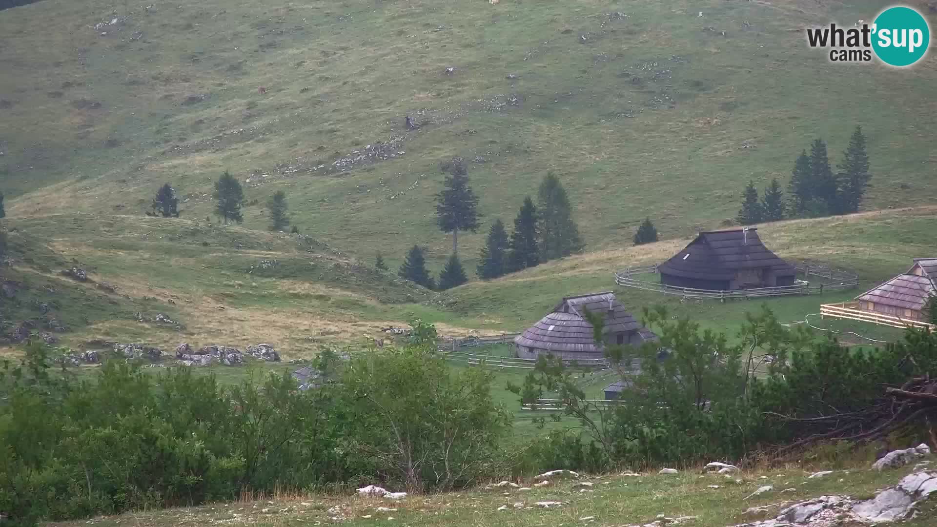 Velika Planina | Gradišče