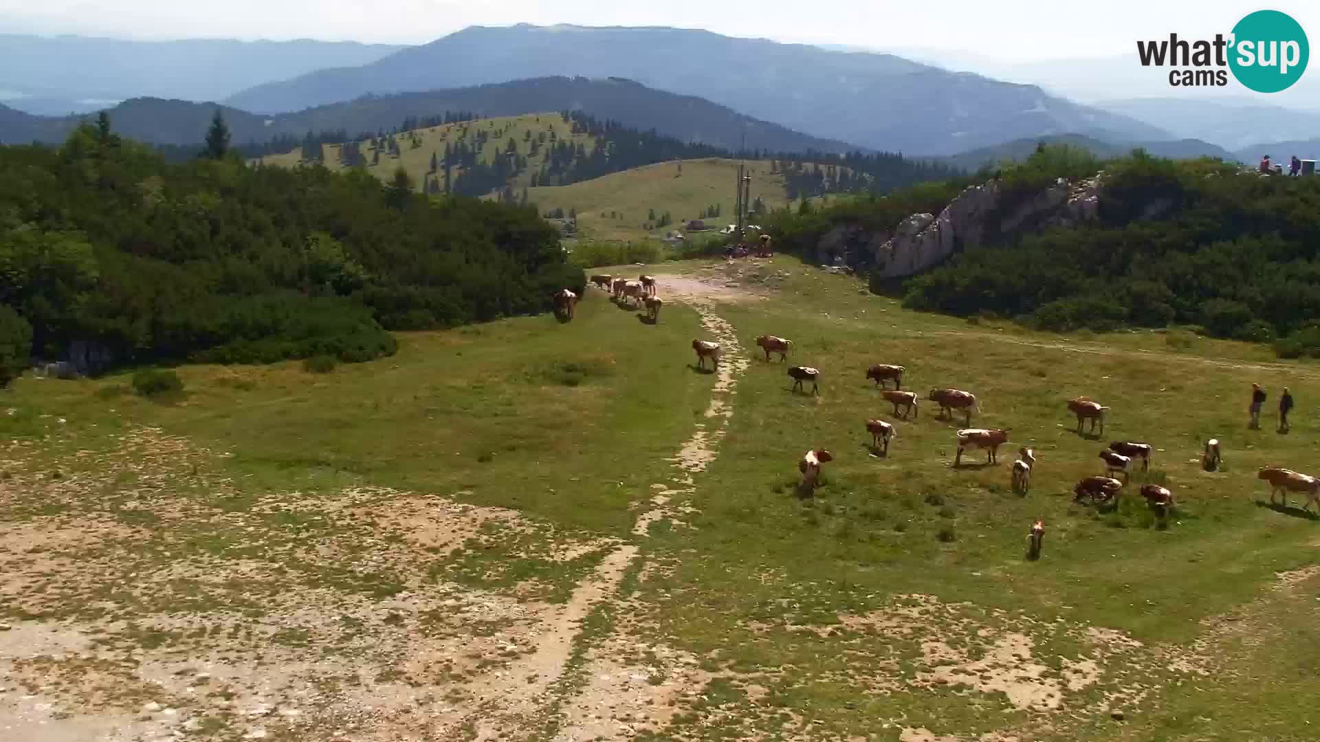 Velika Planina | Gradišče