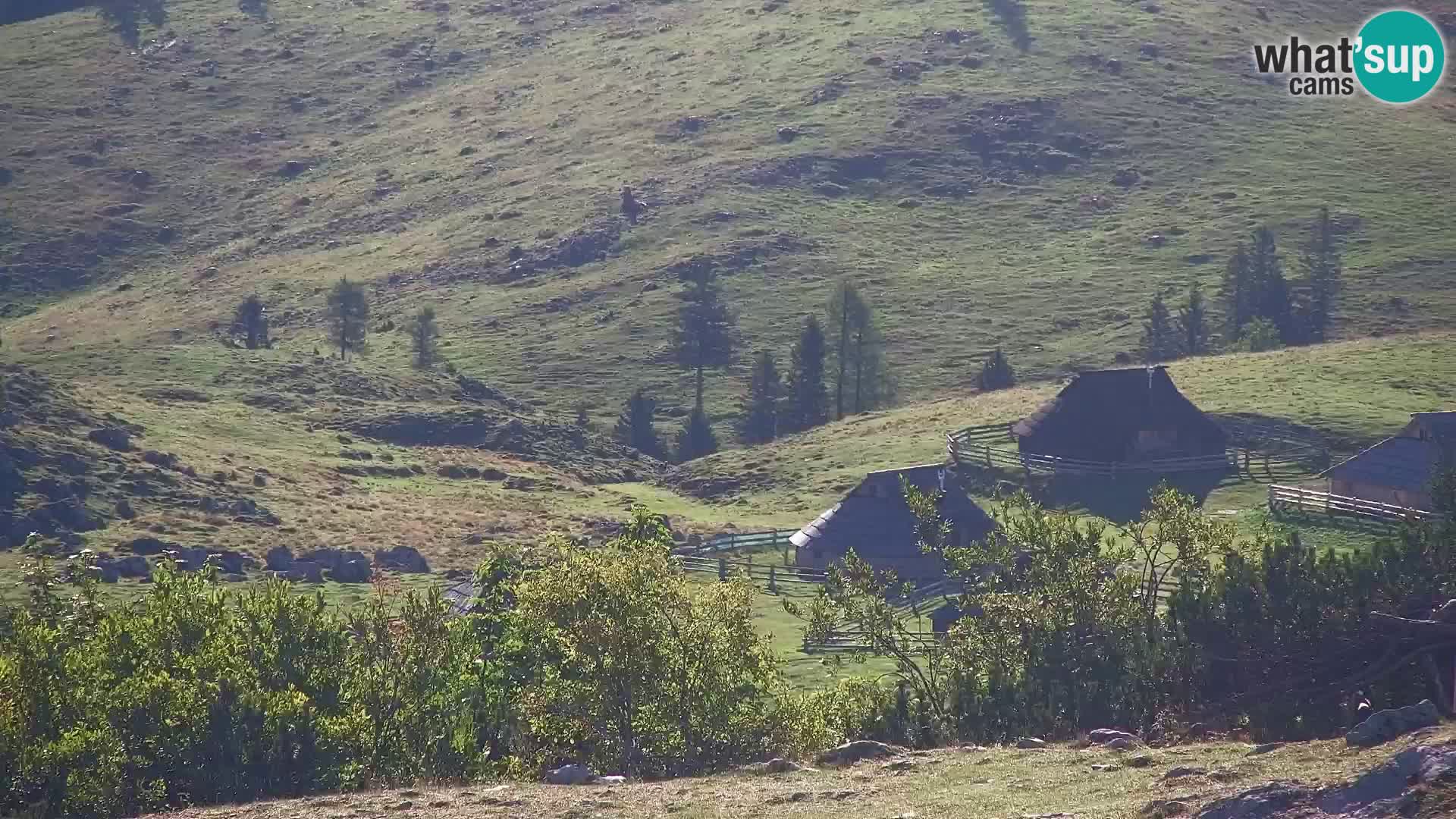 Velika Planina | Gradišče