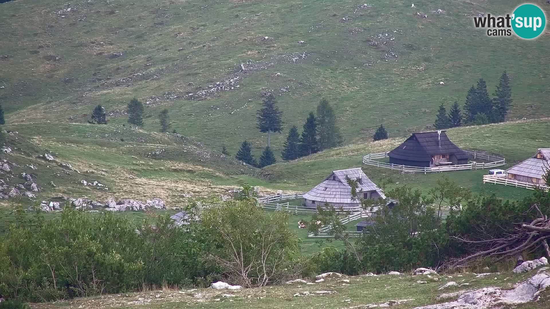 Velika Planina | Gradišče