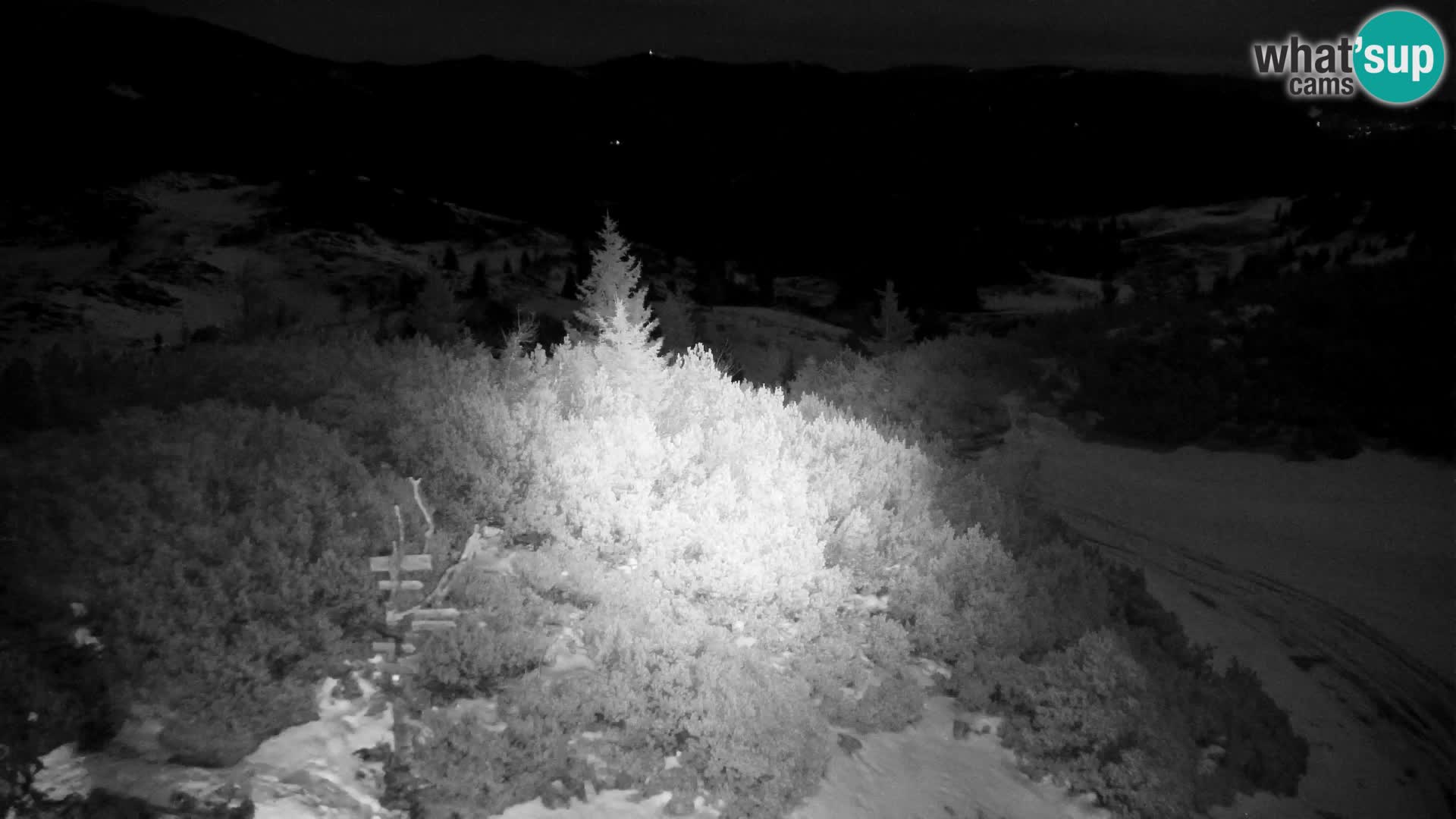 Velika Planina | Gradišče