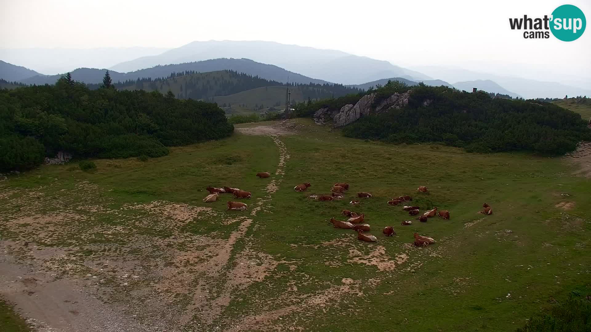 Velika Planina | Gradišče