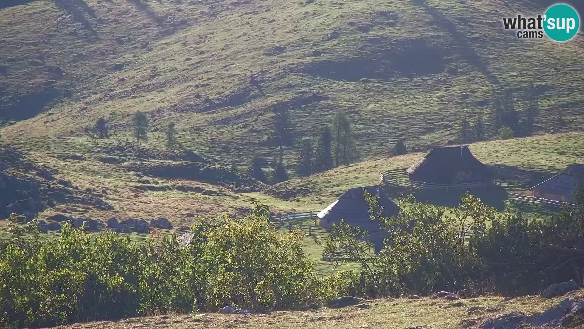 Velika Planina | Gradišče