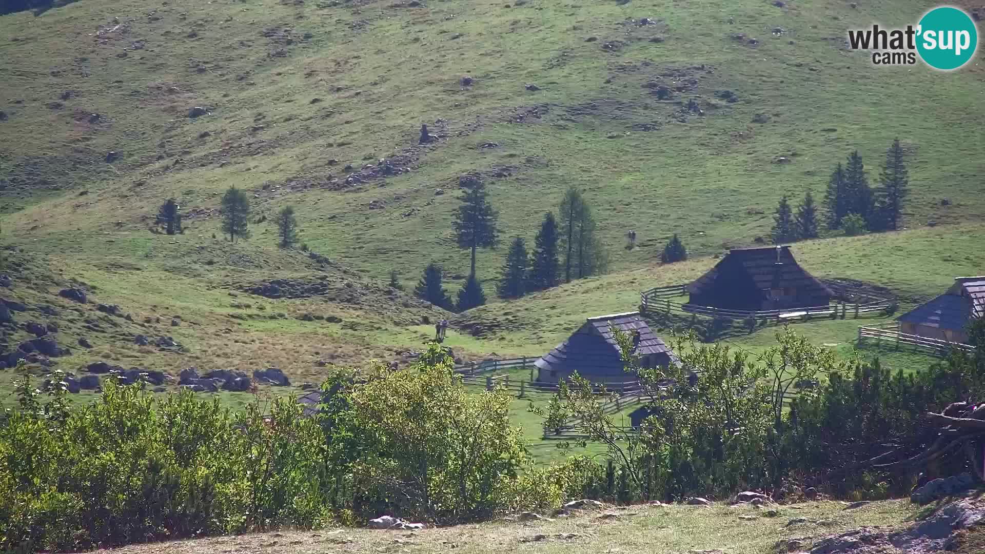 Velika Planina | Gradišče