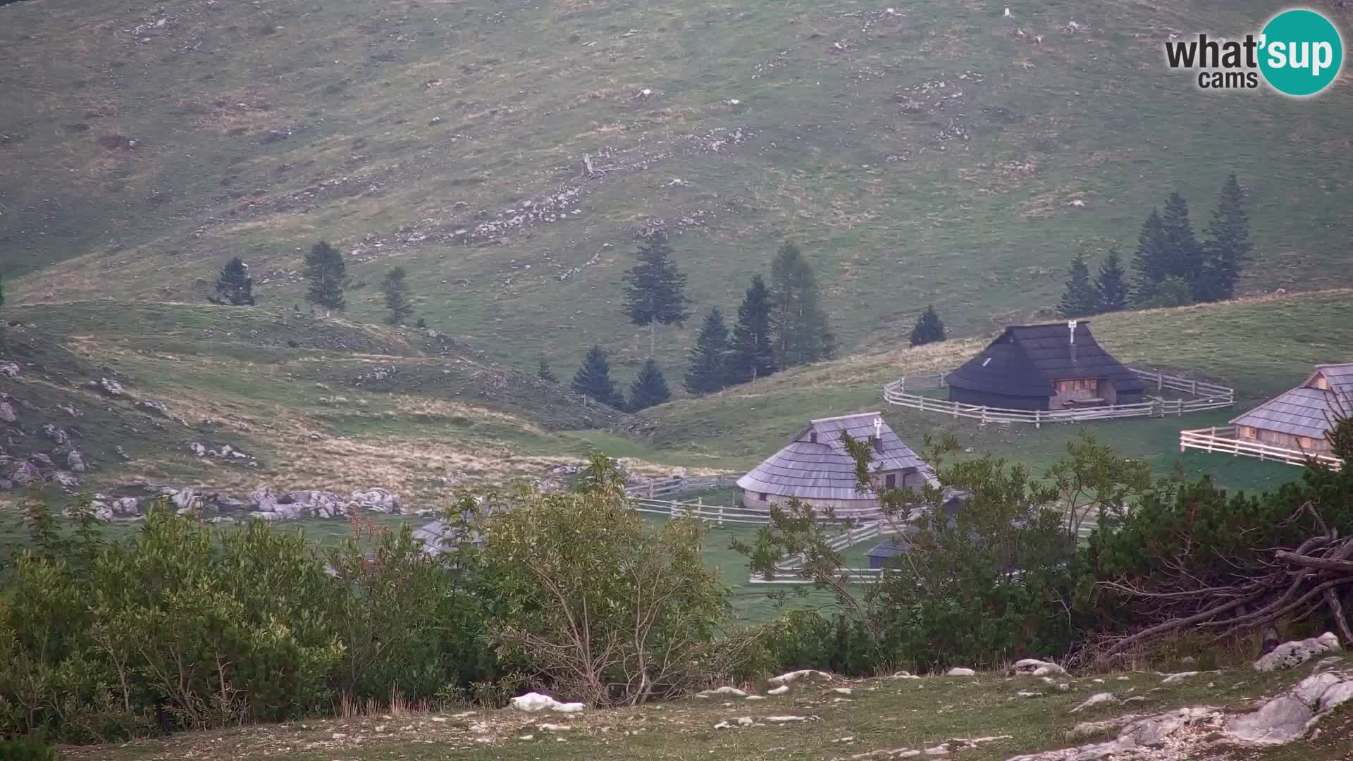Velika Planina | Gradišče