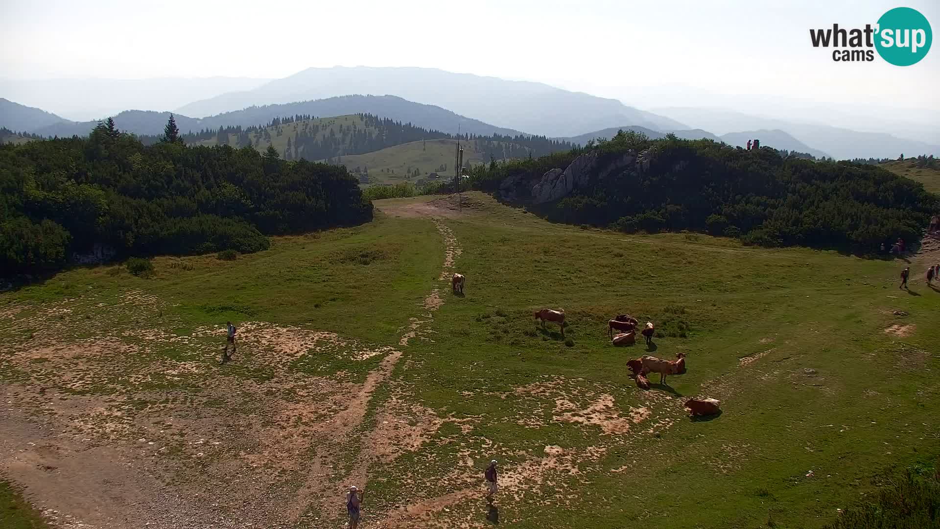 Velika Planina | Gradišče