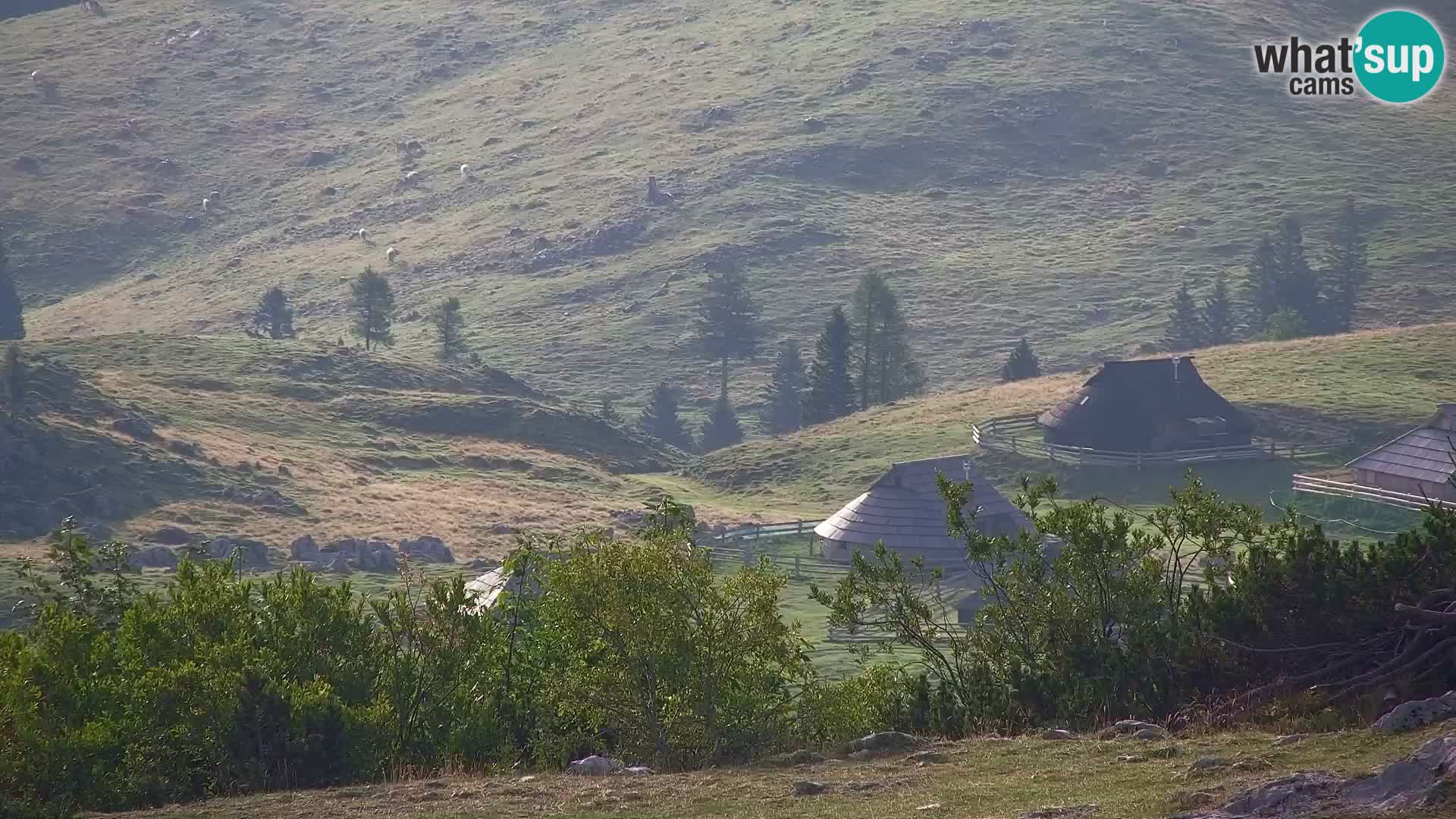 Velika Planina | Gradišče