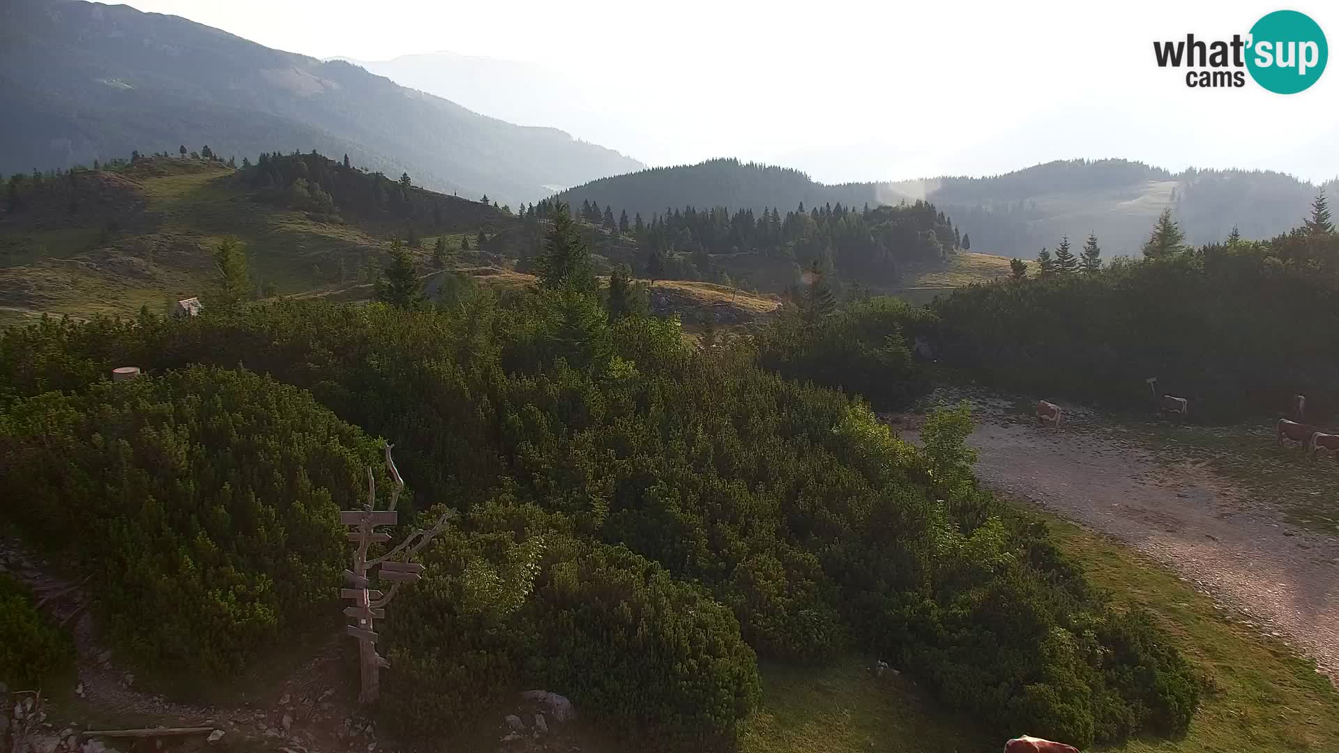 Velika Planina | Gradišče