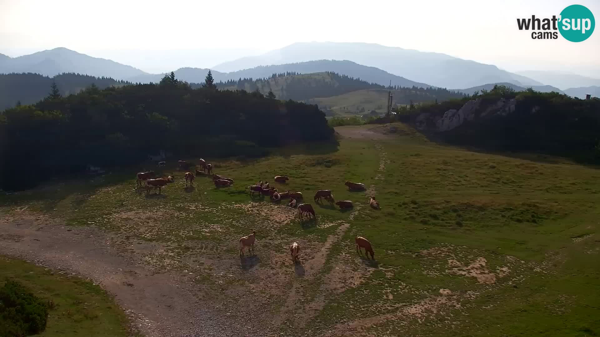 Velika Planina | Gradišče