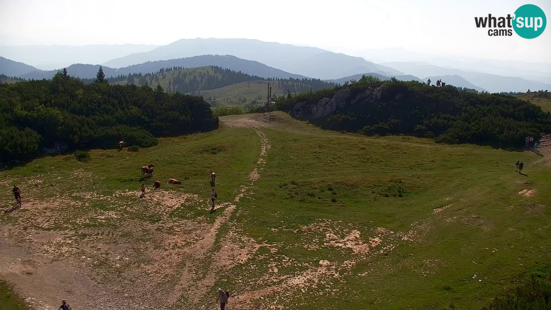Velika Planina | Gradišče