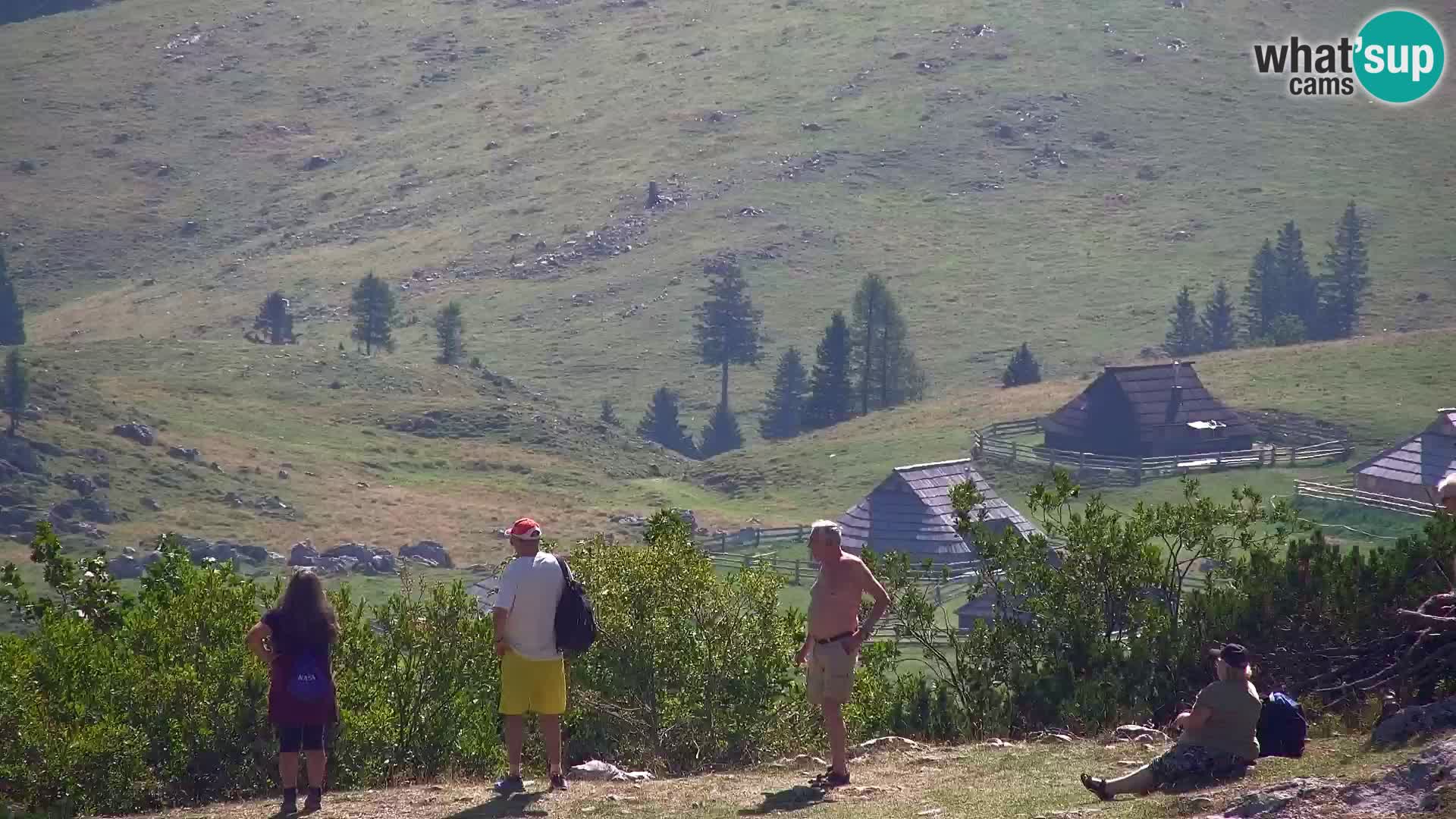 Velika Planina | Gradišče