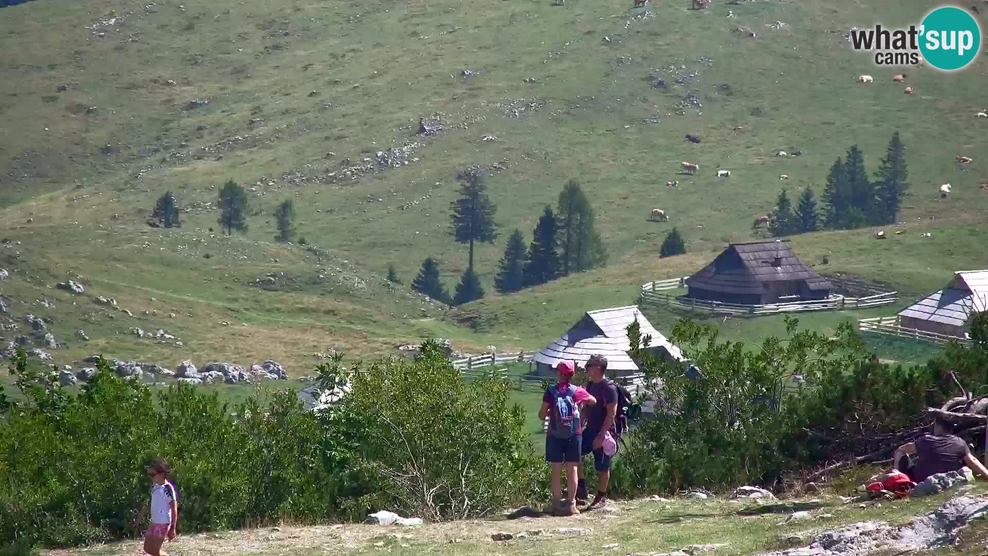 Velika Planina | Gradišče