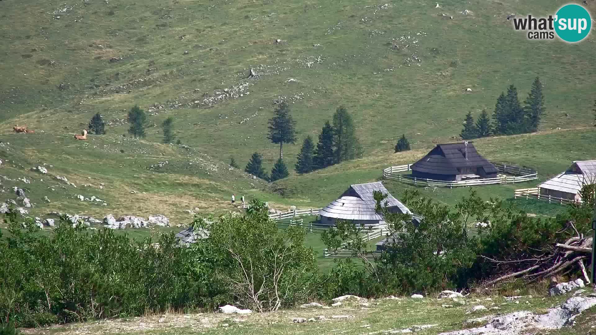 Velika Planina | Gradišče