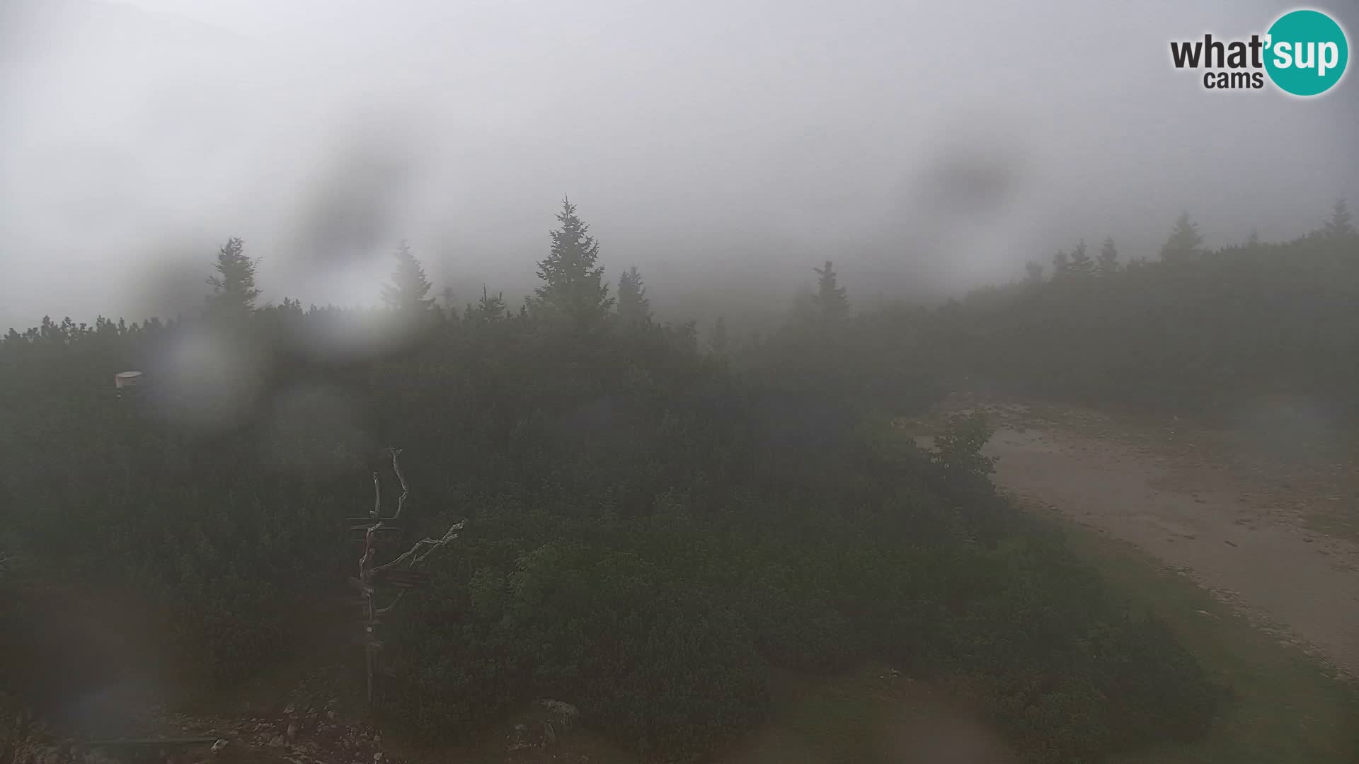 Velika Planina | Gradišče