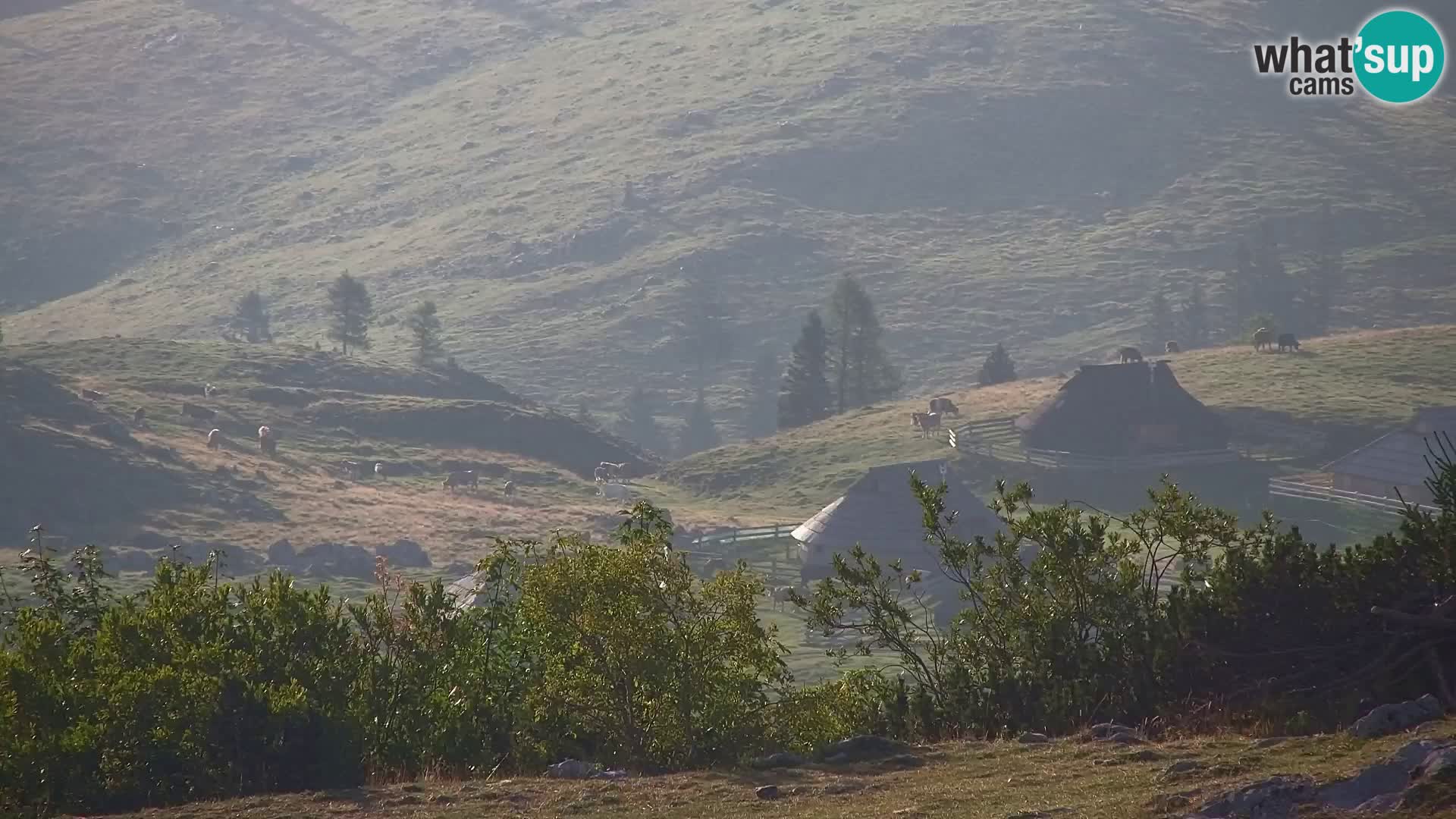 Velika Planina | Gradišče