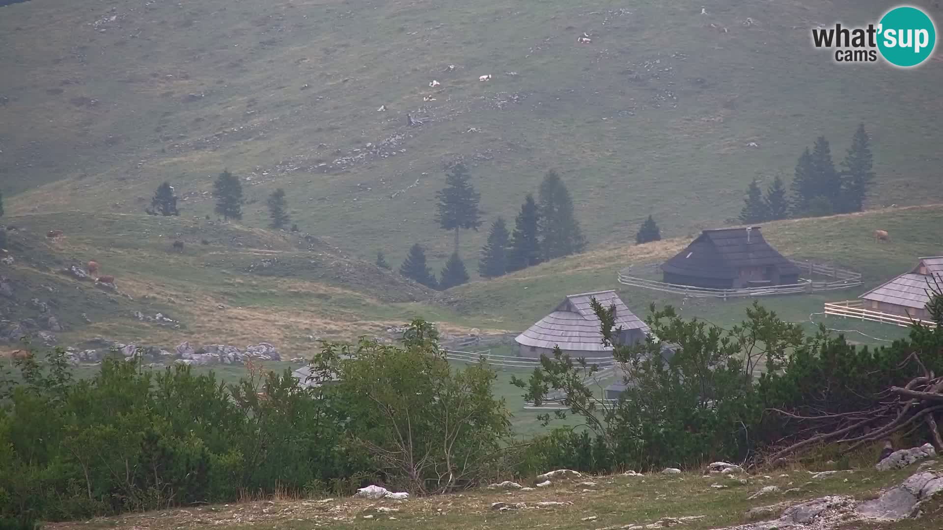 Velika Planina | Gradišče