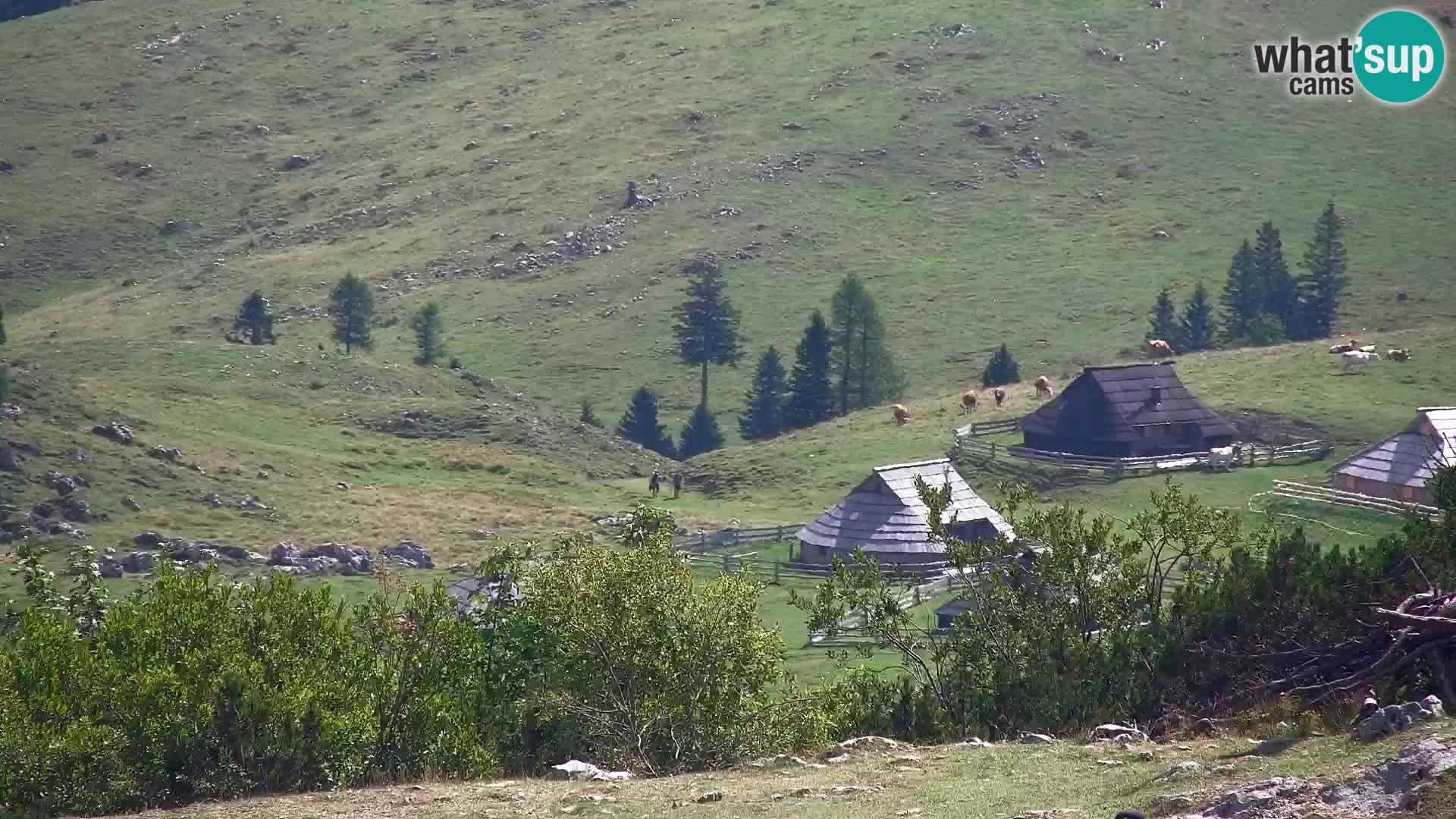 Velika Planina | Gradišče