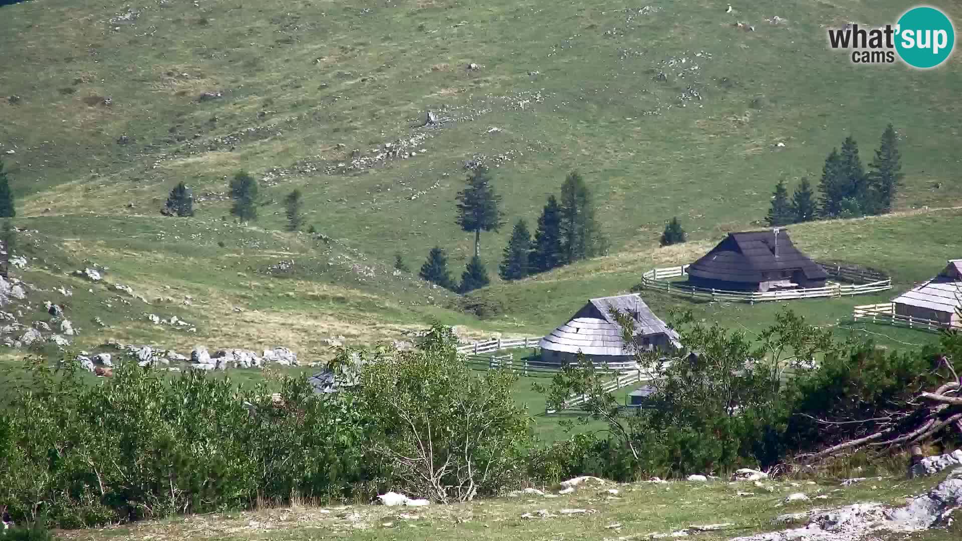 Velika Planina | Gradišče