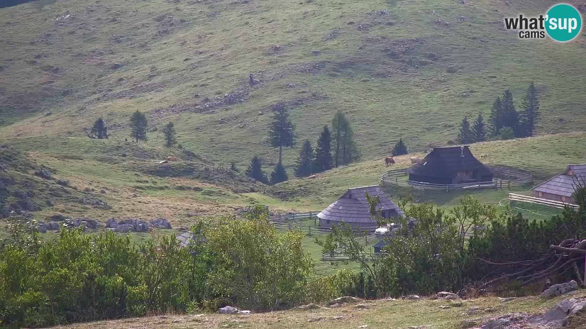 Velika Planina | Gradišče