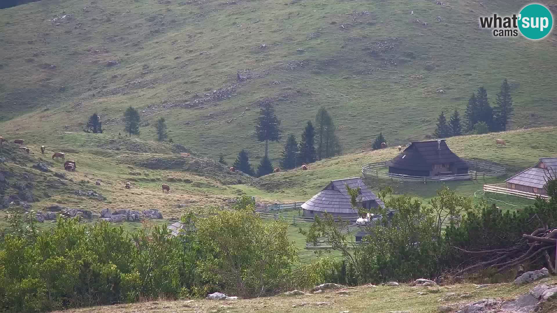 Velika Planina | Gradišče
