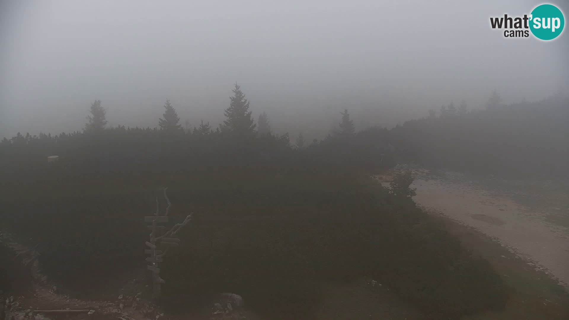 Velika Planina | Gradišče