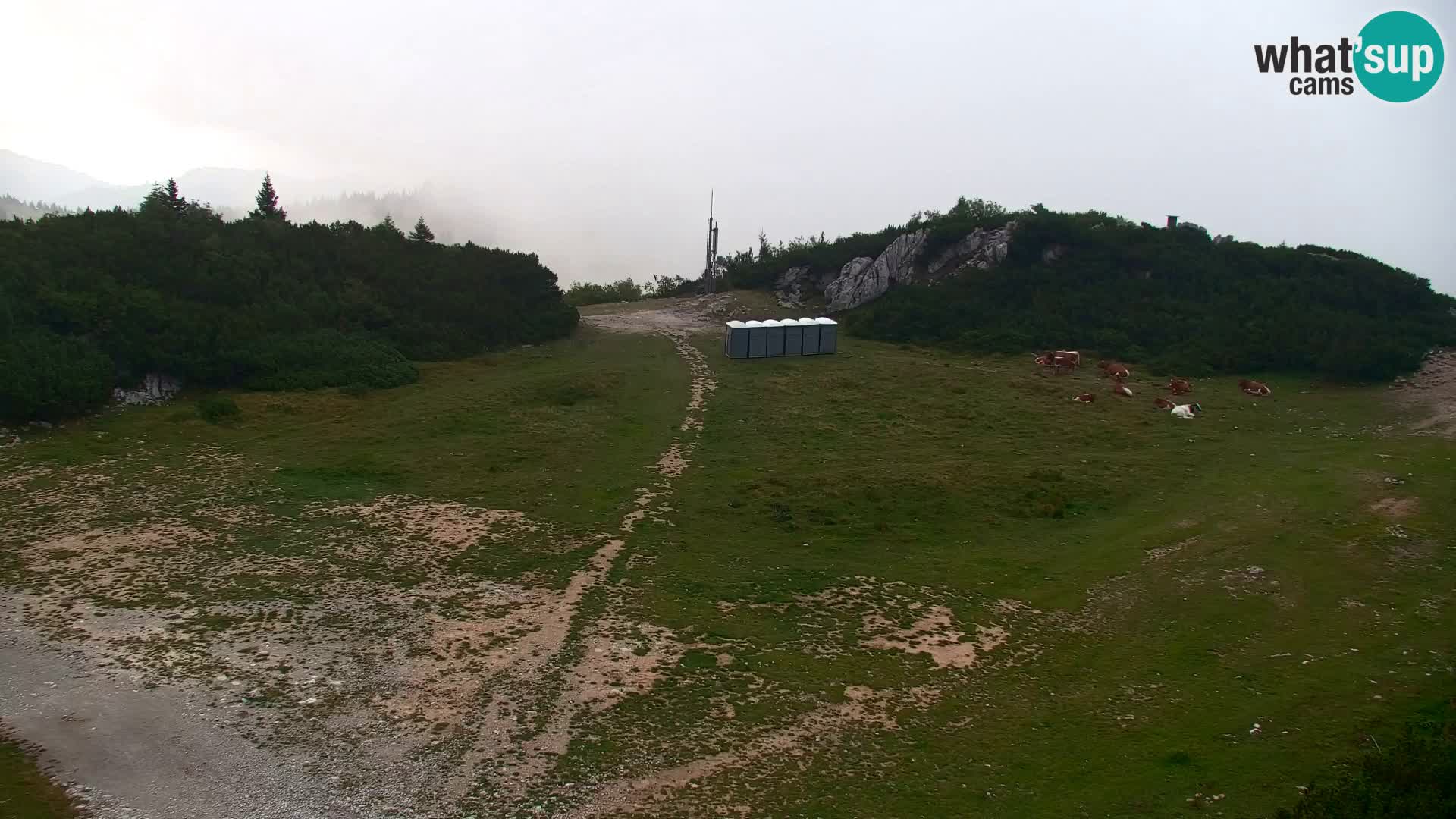 Velika Planina | Gradišče