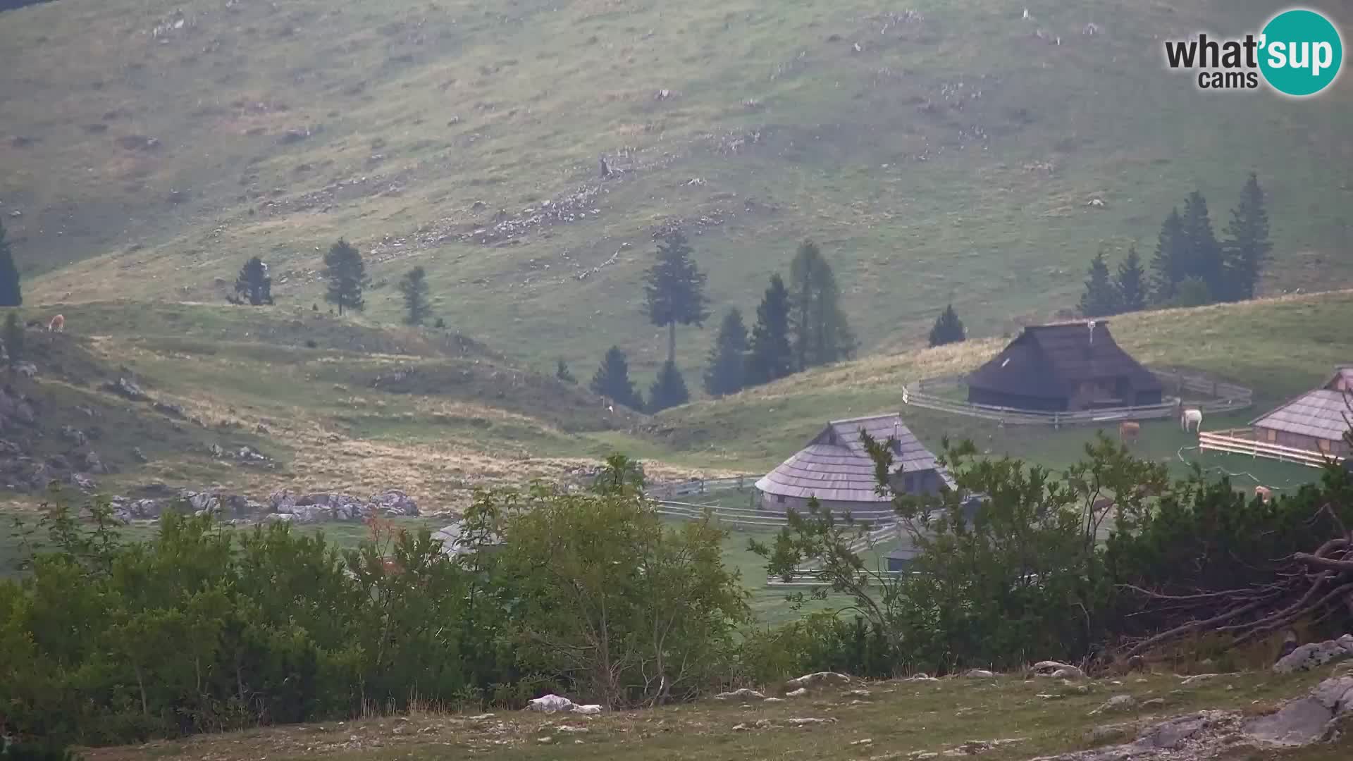 Velika Planina | Gradišče