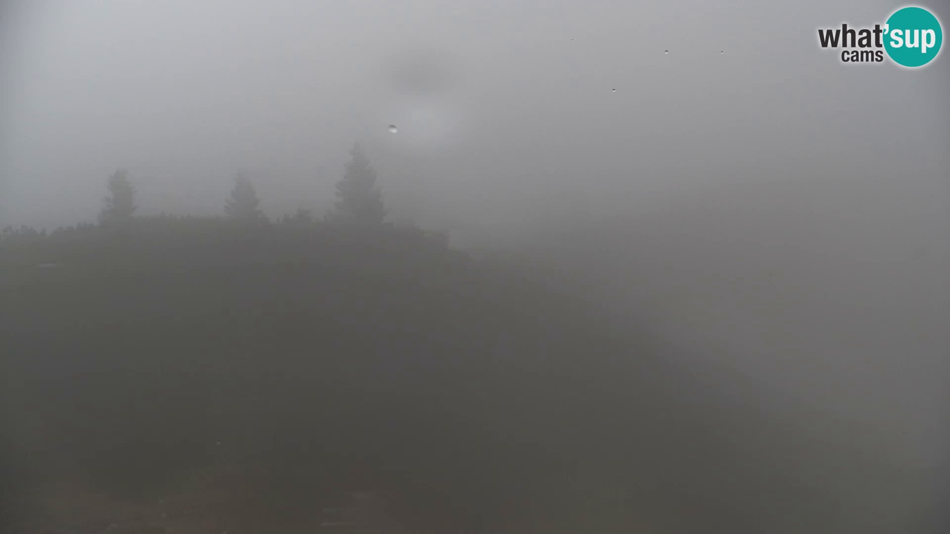 Velika Planina | Gradišče