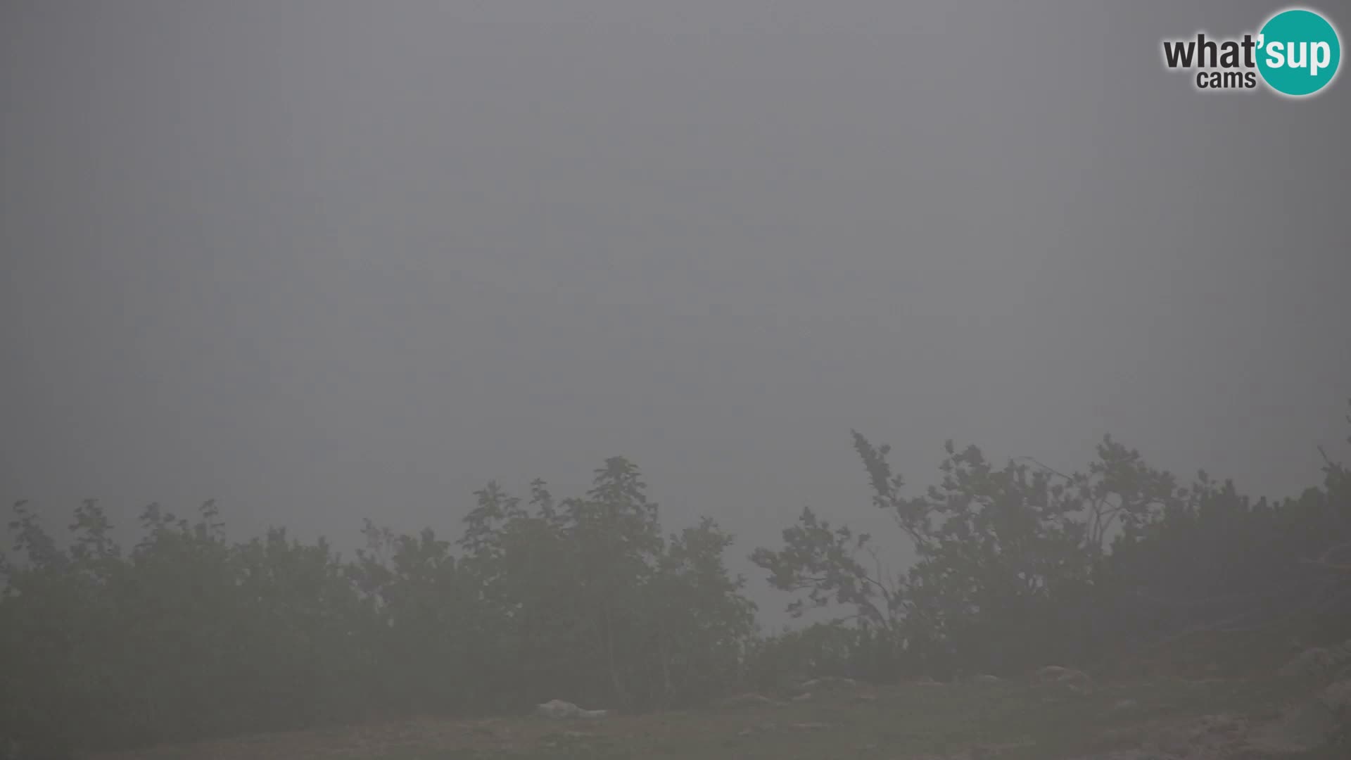 Velika Planina | Gradišče